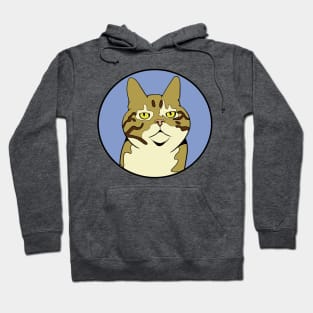 Serious Cat - Funny Animal Design Hoodie